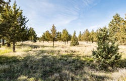 SW Peninsula, Terrebonne, OR 97760