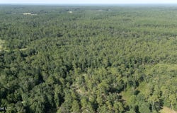 Ashmore Ridge Drive, Vancleave, MS 39565