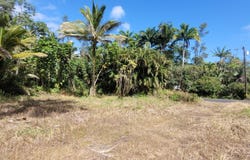 15-1890 31ST AVE, Keaau, HI 96749