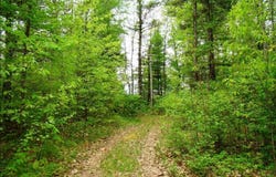 4 Lake Road, Phillips, WI 54555
