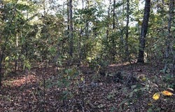 Daffron Road, Duncanville, AL 35456