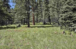 Calle de los Indios lot: 58, Angel Fire, NM 87710