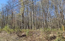 Lot4 DAMIANO Drive, Covington Twp, PA 18444