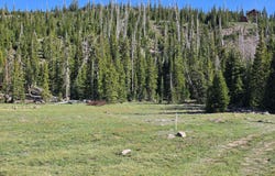 39 S QUILL Rd, Brian Head, UT 84719