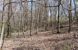 Essman Sugar Camp Rd, South Webster, OH 45682