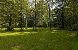 Tbd Bostock Road, Shokan, NY 12481