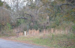 306 Oak Drive, Iva, SC 29655
