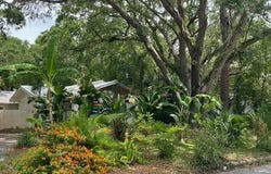 103 Cater Street, St Simons Island, GA 31522