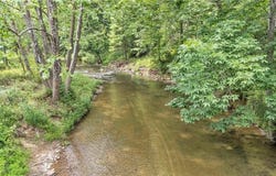 501 Dale Woodie Road, Laurel Springs, NC 28644
