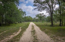 1320 San Marcos Hwy, Luling, TX 78648