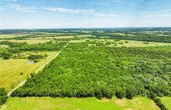 County Road 1019, Celeste, TX 75423