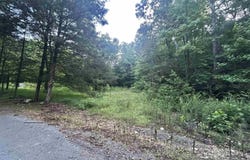 3.9 Acres County Road 212, Collinsville, AL 35961