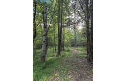 01 MOORE, Holly Springs, MS 38635