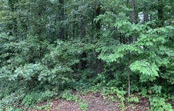 0 HWY 17 ALT, Toccoa, GA 30577