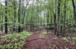 Tbd Wood Lane, Hillsville, VA 24343