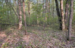 000 PAR-KING DRIVE, BELLAIRE, MI 49615