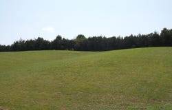 FORGE RIDGE Rd, Harrogate, TN 37752