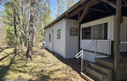 8656 N Dog Patch Drive, Irons, MI 49644