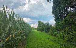 Aspen Wall Rd, Brookneal, VA 24528