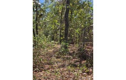 844 E Jinnita Street, Hernando, FL 34442