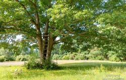 10365 E Klees Road, Crystal, MI 48818