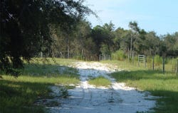 900 BUCKLES ROAD, PIERSON, FL 32180