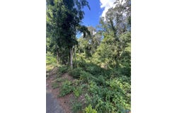 11.7 Slicklizzard Road, Nauvoo, AL 35578