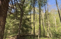 McClain Watson Road, Shippenville, PA 16254