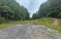 715 FALLVIEW LANE, ODENVILLE, AL 35120