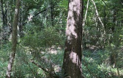 Beach Road, Roxie, MS 39661