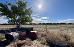 Noah (D-2) Lane, Belen, NM 87002