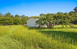 3226 Neely Wingard Road, Batesburg-Leesville, SC 29070
