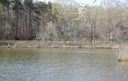 3152 LEWISTON Road, BUMPASS, VA 23024