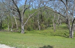 3821 12th Avenue NW, Ardmore, OK 73401