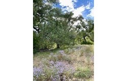 Off CR 120 CR 120, La Mesilla, NM 87532