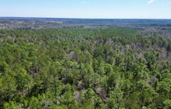 Lot 2 Cowart Holiday Road, Poplarville, MS 39470