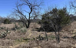 Lot 128 Brent Drive, Kingsland, TX 78639