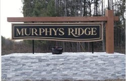 4456 Poppy Mallow Lane, Oxford, NC 27565
