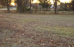 0 Raiford Road, Erwin, NC 28339