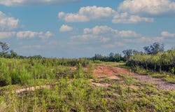 Tract 1 Highway 0036, Woodland, GA 31836