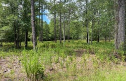 361 Ash Road lot: 32&33, Boiling Spring Lakes, NC 28461
