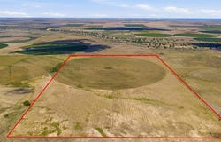 Wiggins, CO 80654