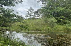 0 BUSBY CUT OFF ROAD, NAUVOO, AL 35578