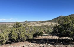 006 N8604, Concho, AZ 85924