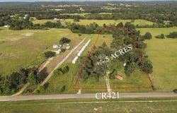 Palestine, TX 75803