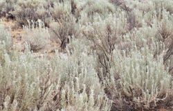 Vl 14 Rio Grande Estates Block 589 unit: 25, Rio Communities, NM 87002