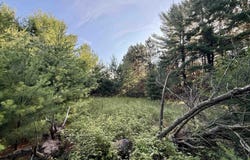 15 S Westview Drive, Empire, MI 49630
