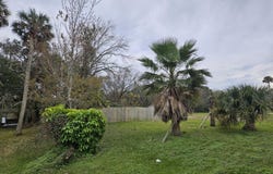 '0' W Canal Street, New Smyrna Beach, FL 32168