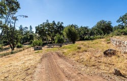 1557 La Grande Vue, Paradise, CA 95969