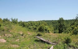 39250-9260 Hwy 27, Tilly, AR 72679